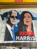 Biden Harris Cartoon Shirt